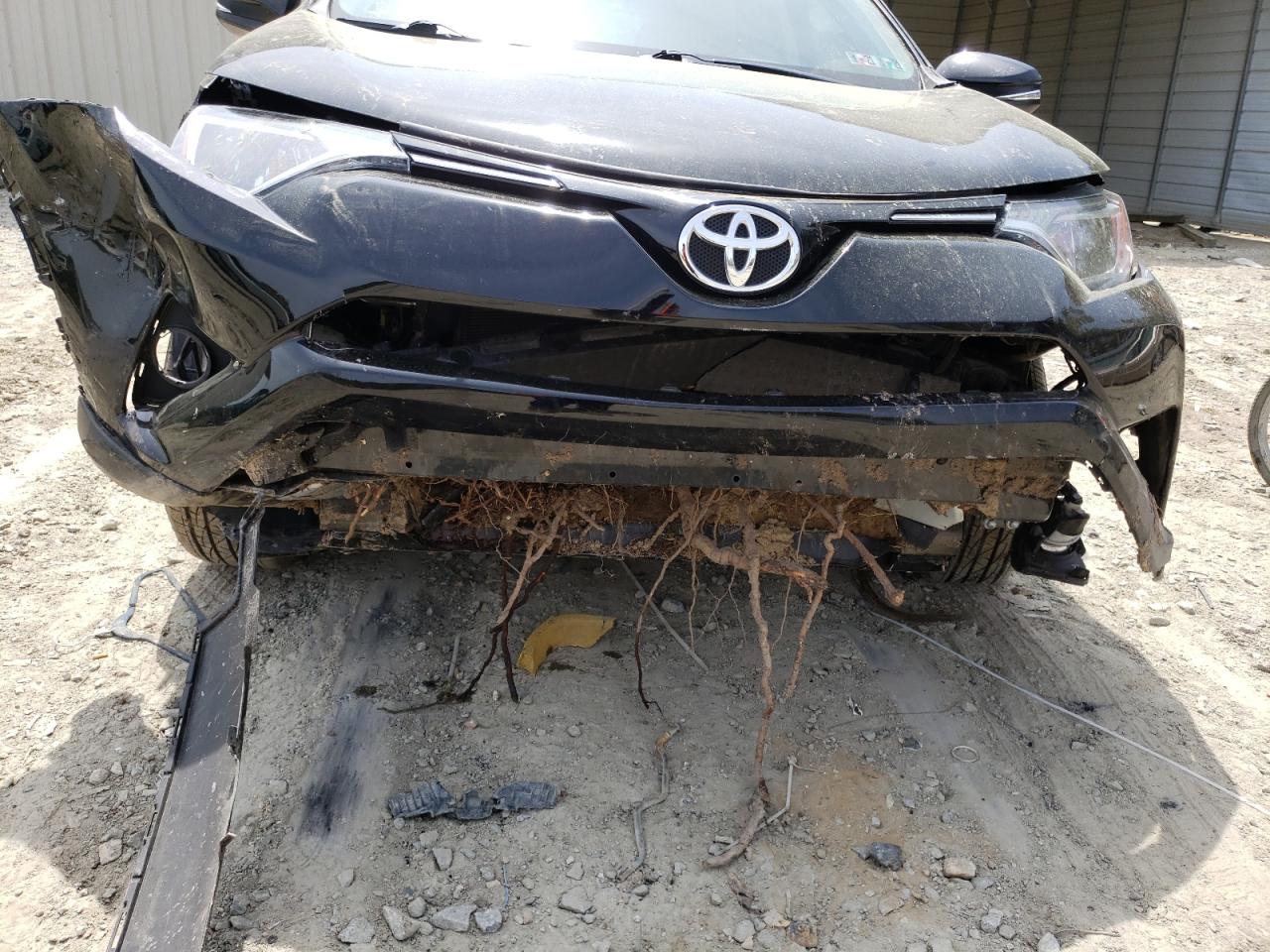 Photo 9 from auction – 2016 TOYOTA RAV4 XLE with VIN 2T3RFREV9GW426029