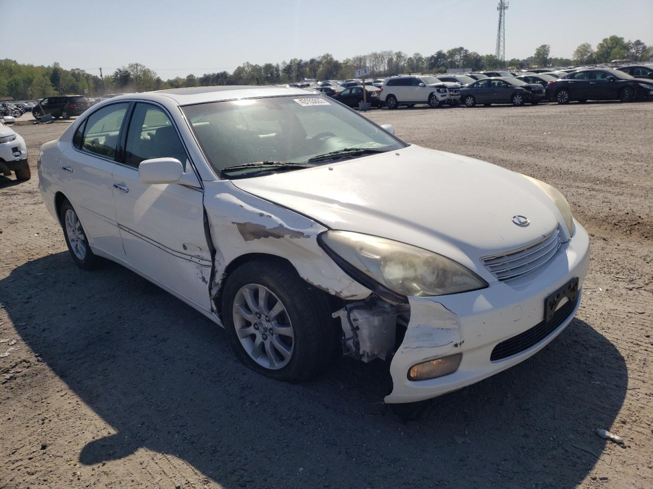 LEXUS ES 300 2002 with VIN JTHBF30G020027674 - Photo from auction