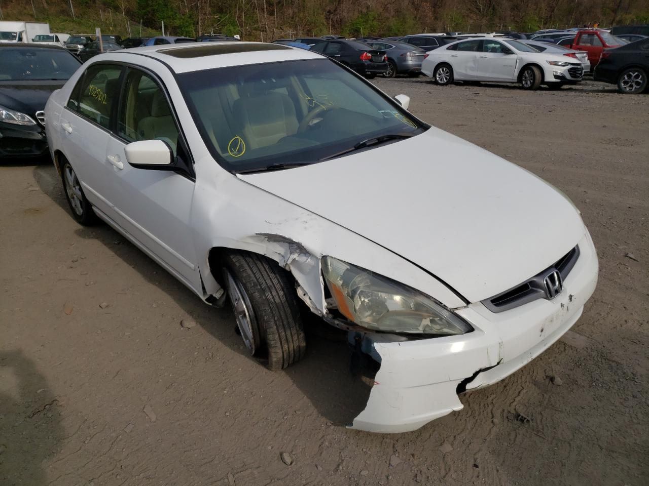 HONDA ACCORD EX 2004 with VIN 1HGCM56674A079727 - Photo from auction