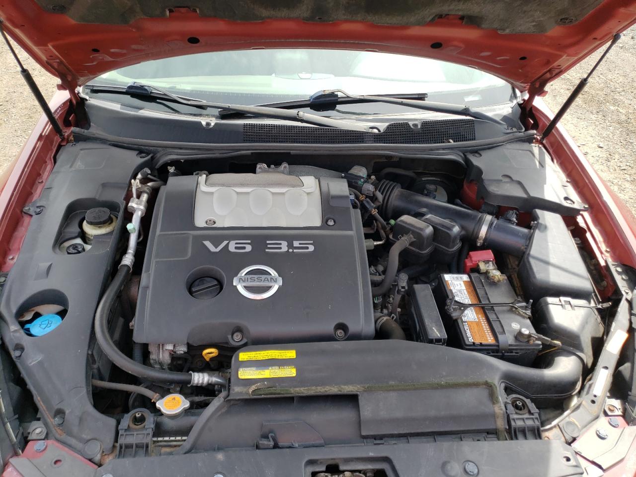 Photo 7 from auction – 2007 NISSAN MAXIMA SE with VIN 1N4BA41E47C835279