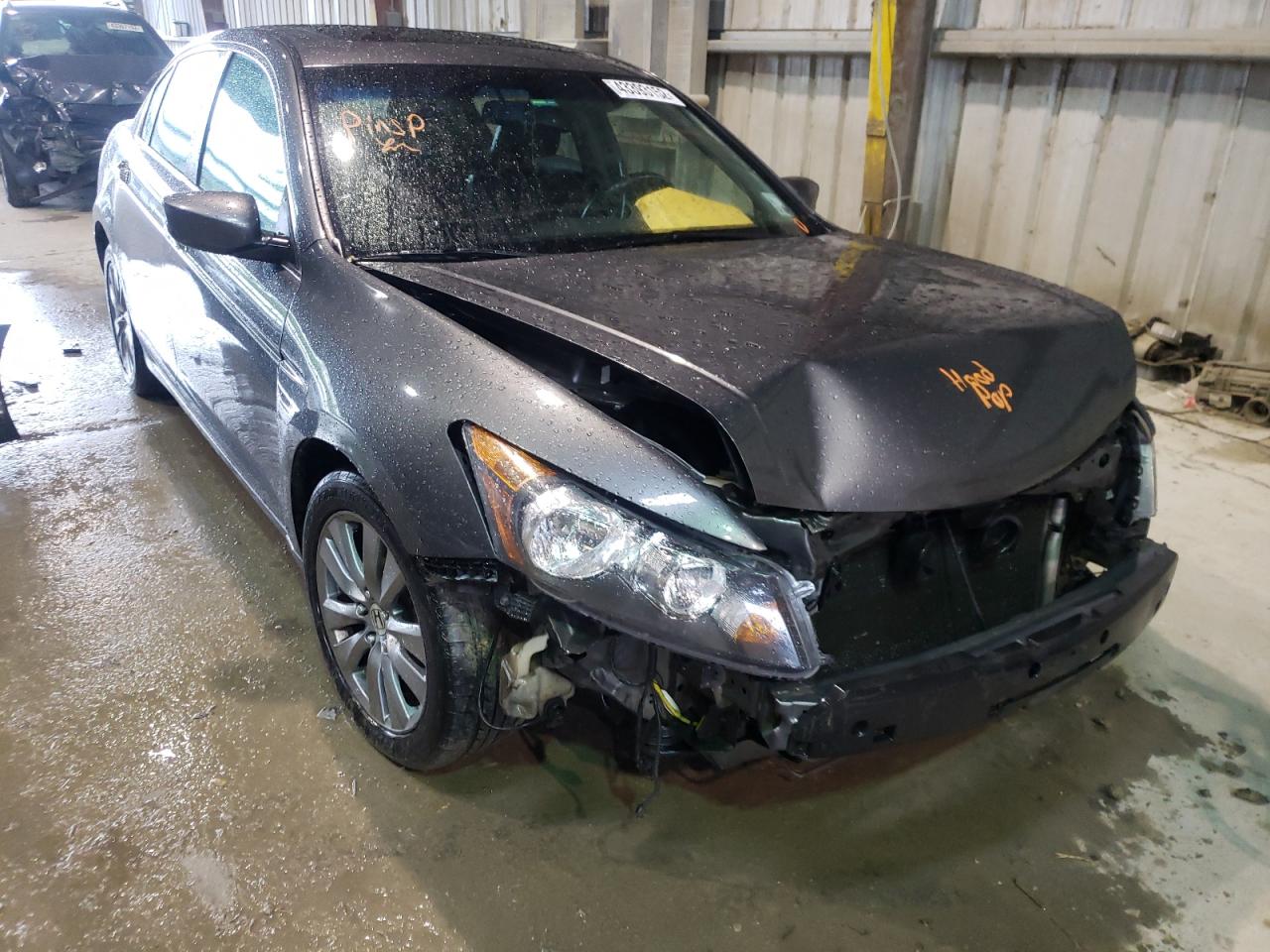 HONDA ACCORD EXL 2011 with VIN 1HGCP3F80BA018908 - Photo from auction