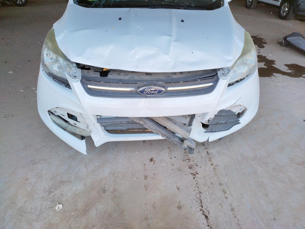 Photo 9 from auction – 2014 FORD ESCAPE SE with VIN 1FMCU0GXXEUE28500