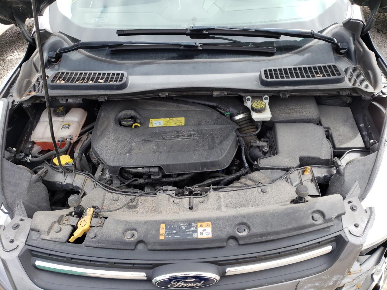 Photo 7 from auction – 2013 FORD ESCAPE SE with VIN 1FMCU9GX4DUA58616