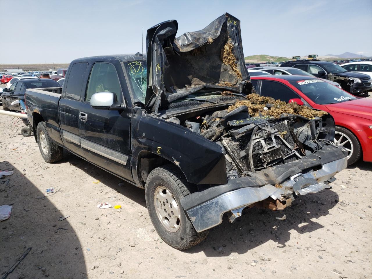 CHEVROLET SILVERADO 2003 with VIN 2GCEK19T431162838 - Photo from auction