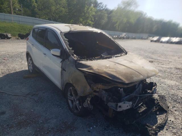 FORD ESCAPE SE 2013 with VIN 1FMCU0GX5DUA54926 - Photo from auction
