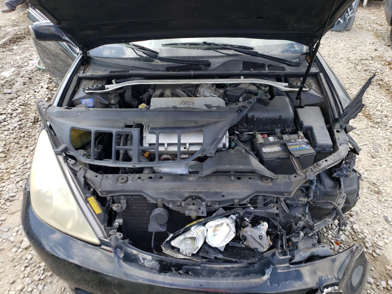 Photo 7 from auction – 2006 LEXUS ES 330 with VIN JTHBA30G365161960