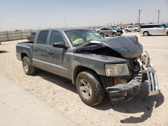 DODGE DAKOTA QUA 2008 with VIN 1D7HE48N48S505931 - Photo from auction