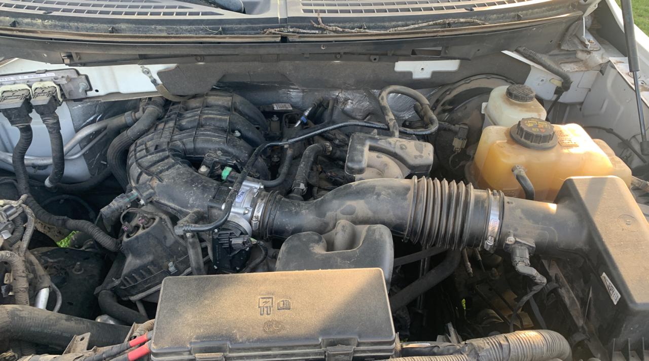 Photo 7 from auction – 2013 FORD F150 with VIN 1FTMF1CM0DKF49115