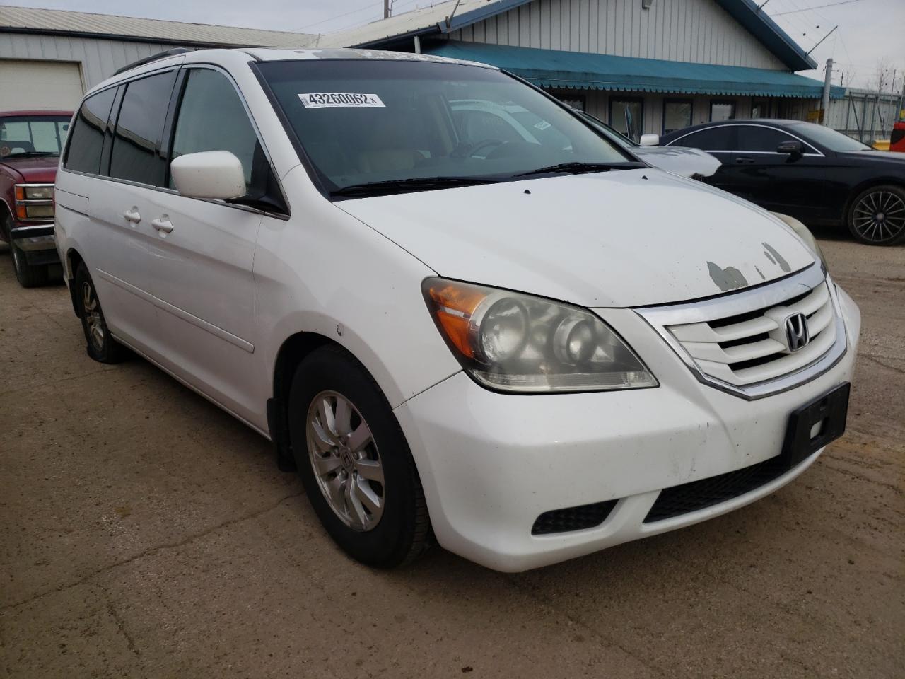 HONDA ODYSSEY EX 2008 with VIN 5FNRL38608B406091 - Photo from auction