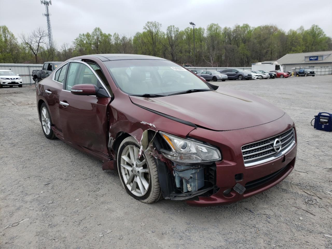 NISSAN MAXIMA S 2009 with VIN 1N4AA51E29C844938 - Photo from auction