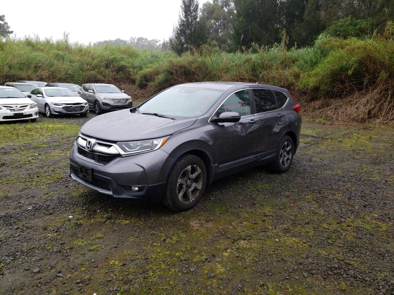 Photo 2 from auction – 2017 HONDA CR-V EX with VIN 2HKRW2H51HH607363