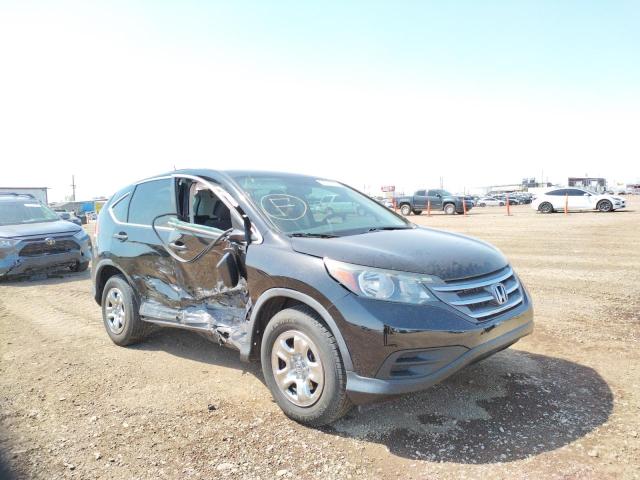 HONDA CR-V LX 2014 with VIN 2HKRM3H39EH508375 - Photo from auction
