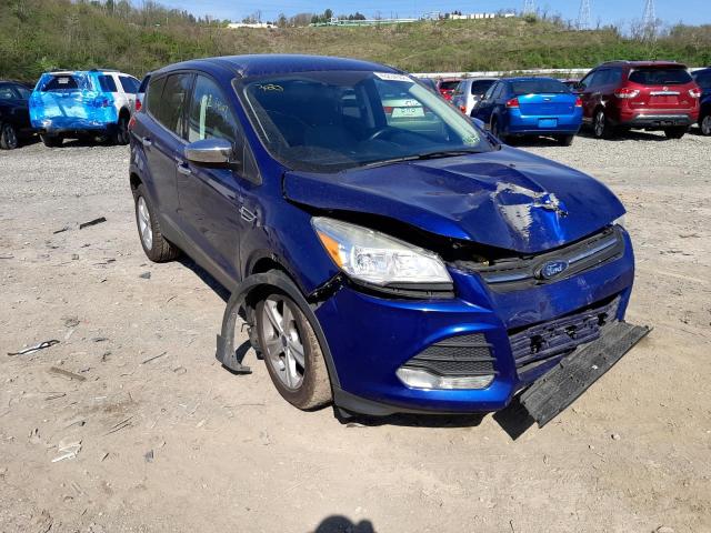 FORD ESCAPE SE 2014 with VIN 1FMCU0GX1EUB48884 - Photo from auction