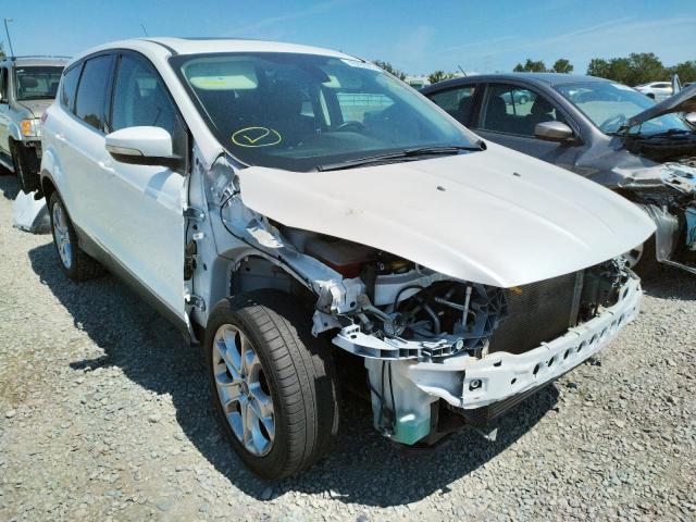 FORD ESCAPE SEL 2013 with VIN 1FMCU0HX5DUB86017 - Photo from auction