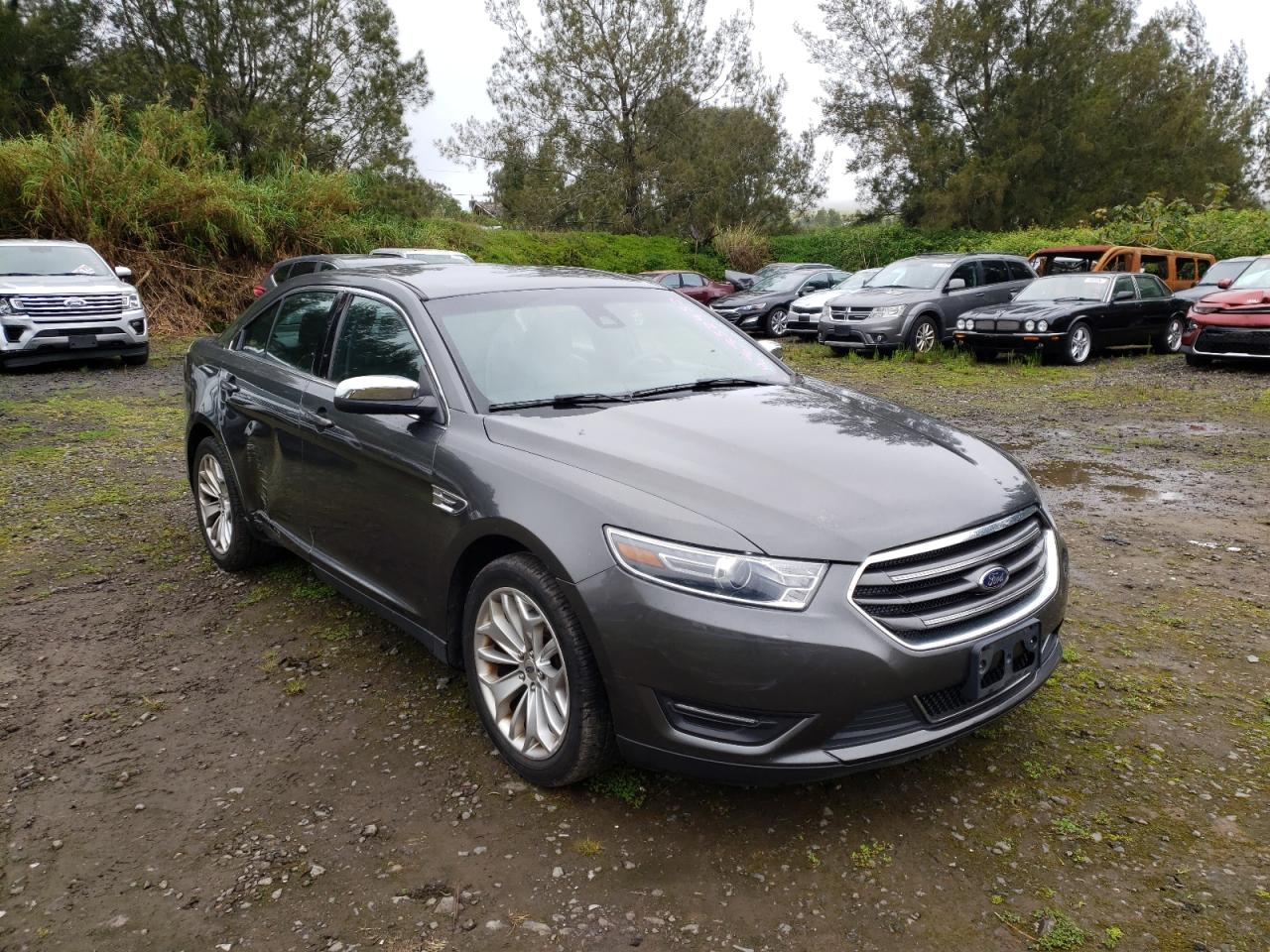 FORD TAURUS LIM 2019 with VIN 1FAHP2F88KG116456 - Photo from auction