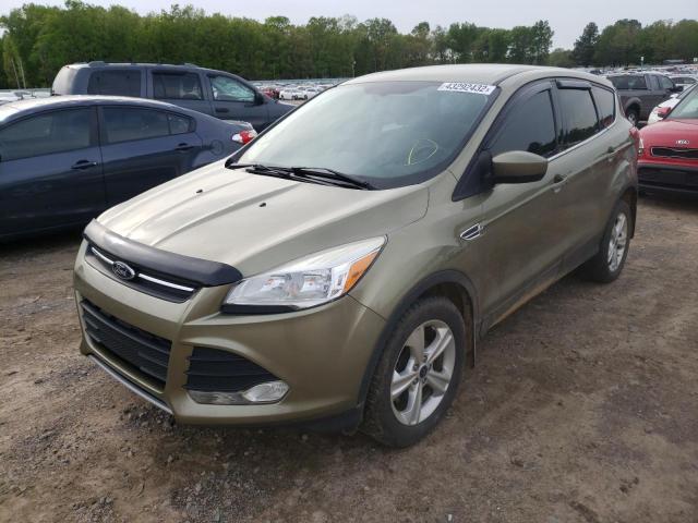 Photo 2 from auction – 2014 FORD ESCAPE SE with VIN 1FMCU0GX3EUA97467