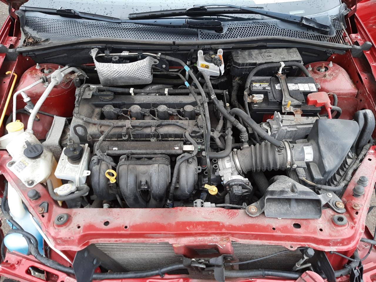 Photo 7 from auction – 2011 FORD FOCUS SE with VIN 1FAHP3FN0BW163062