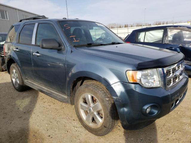 Photo 1 from auction – 2010 FORD ESCAPE XLT with VIN 1FMCU9DG6AKB17127