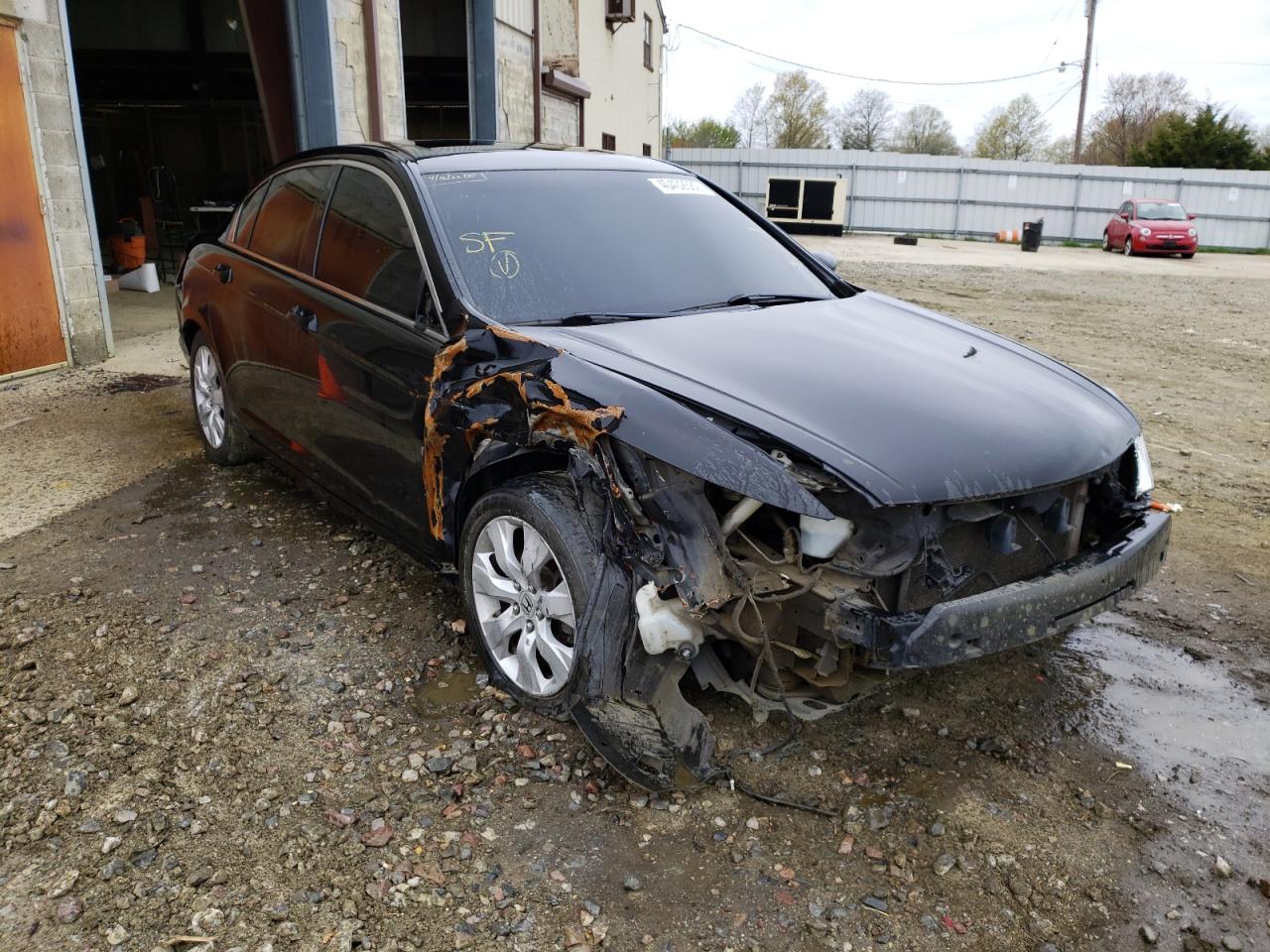 HONDA ACCORD EXL 2010 with VIN 1HGCP2F84AA001067 - Photo from auction