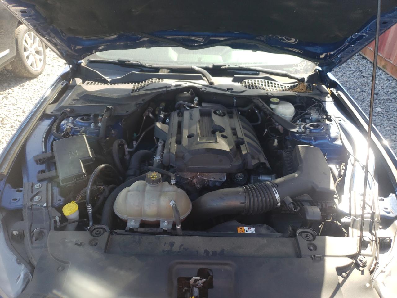 Photo 7 from auction – 2017 FORD MUSTANG with VIN 1FA6P8TH5H5202102