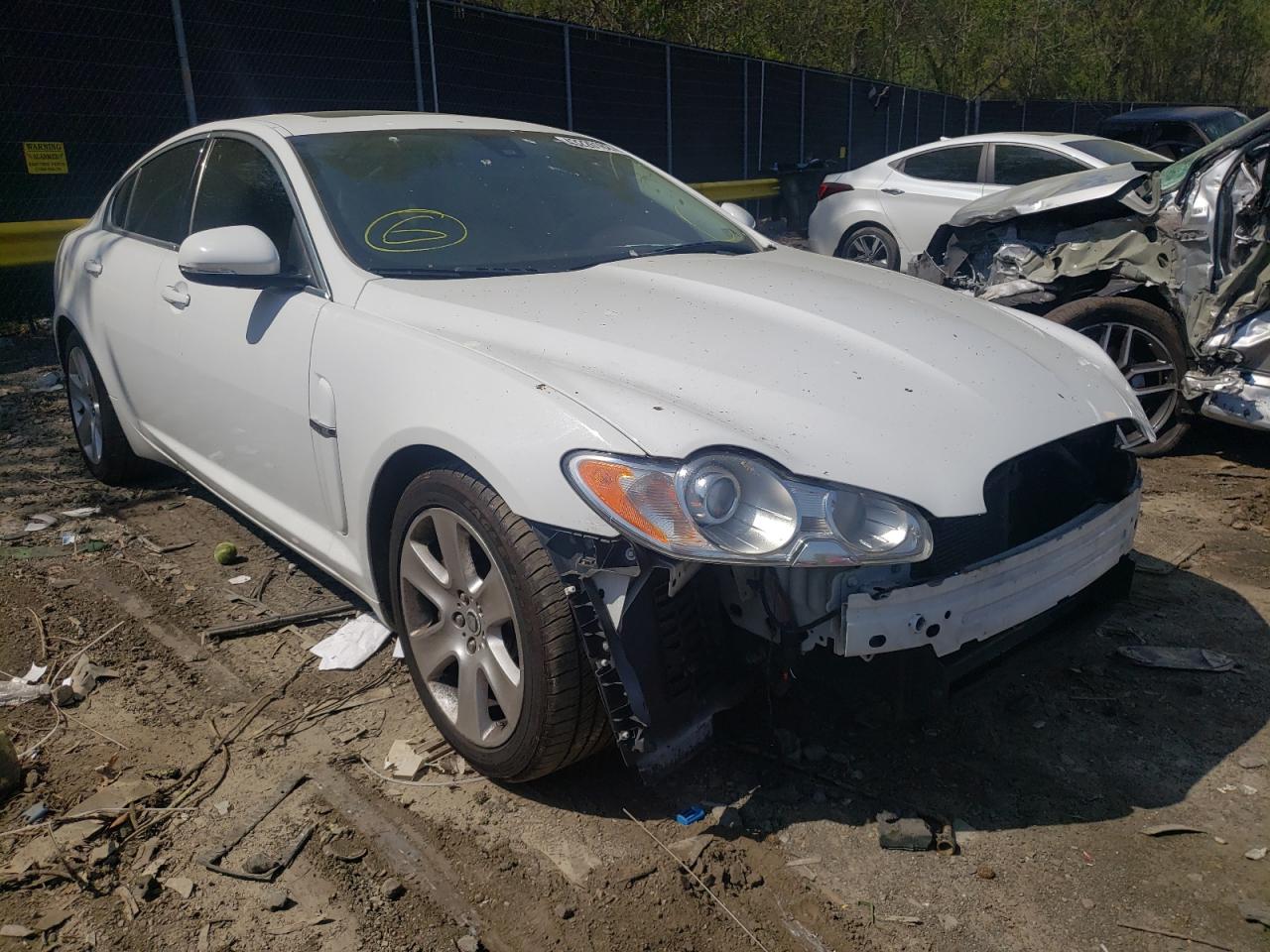 JAGUAR XF 2011 with VIN SAJWA0FB9BLR81593 - Photo from auction
