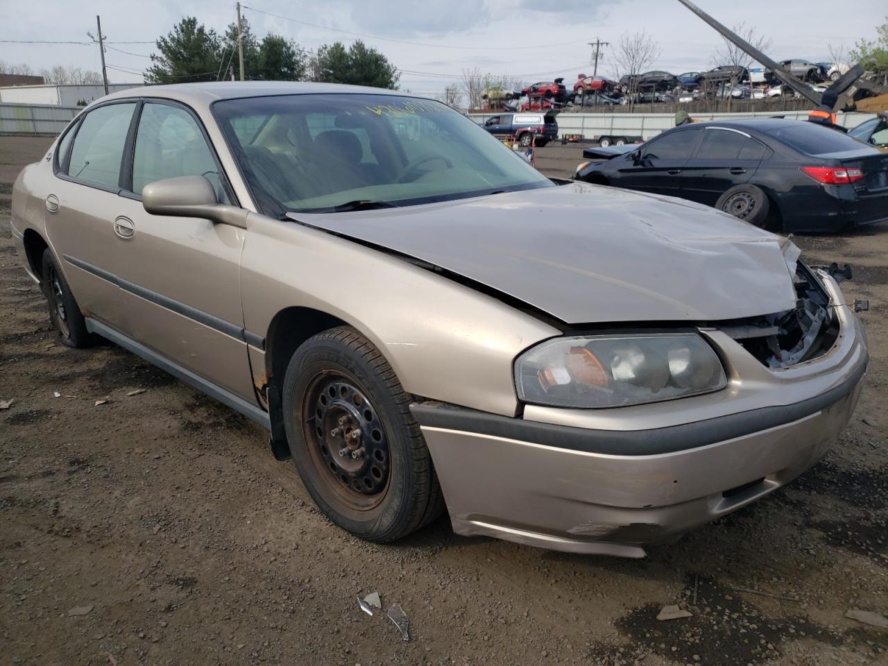 CHEVROLET IMPALA 2001 with VIN 2G1WF55EX19341223 - Photo from auction