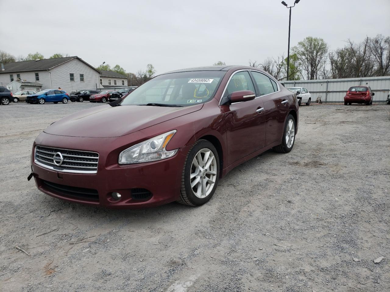 Photo 2 from auction – 2009 NISSAN MAXIMA S with VIN 1N4AA51E29C844938