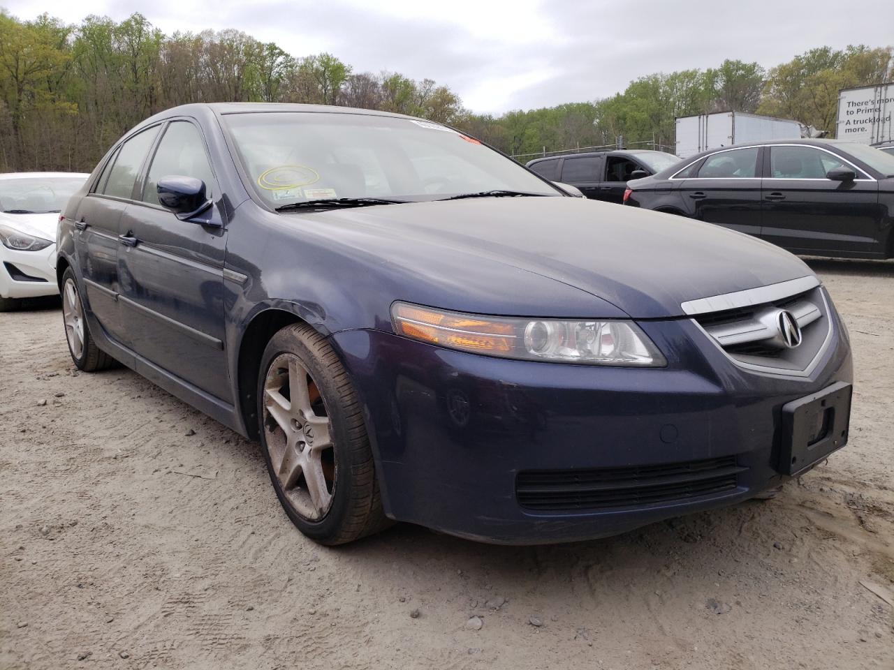 ACURA TL 2005 with VIN 19UUA66275A069040 - Photo from auction
