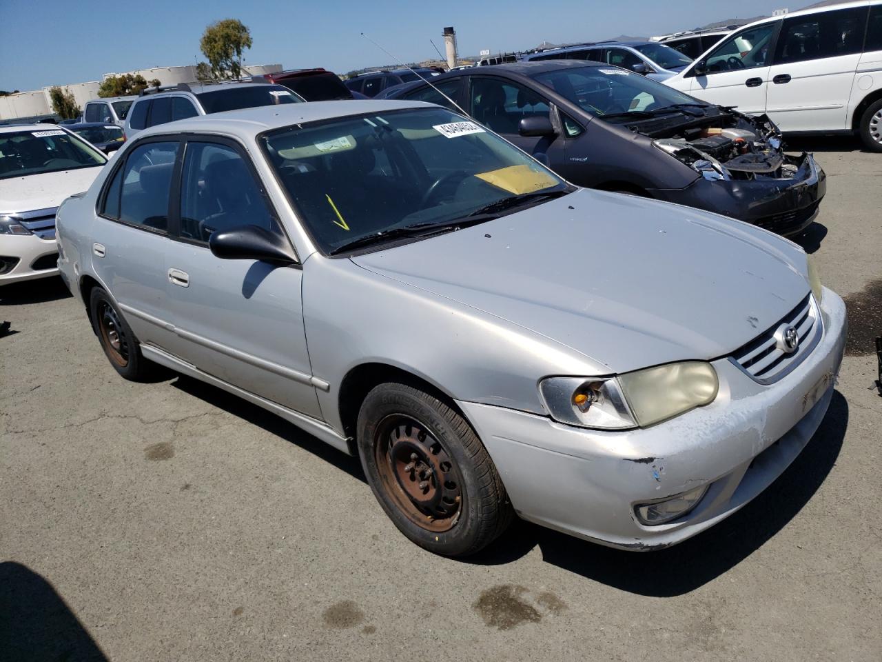 TOYOTA COROLLA CE 2001 with VIN 1NXBR12E71Z527276 - Photo from auction