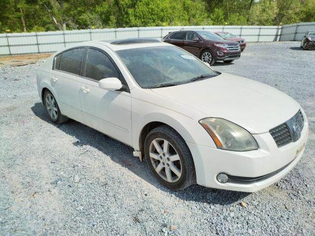 NISSAN MAXIMA SE 2004 with VIN 1N4BA41E74C919592 - Photo from auction