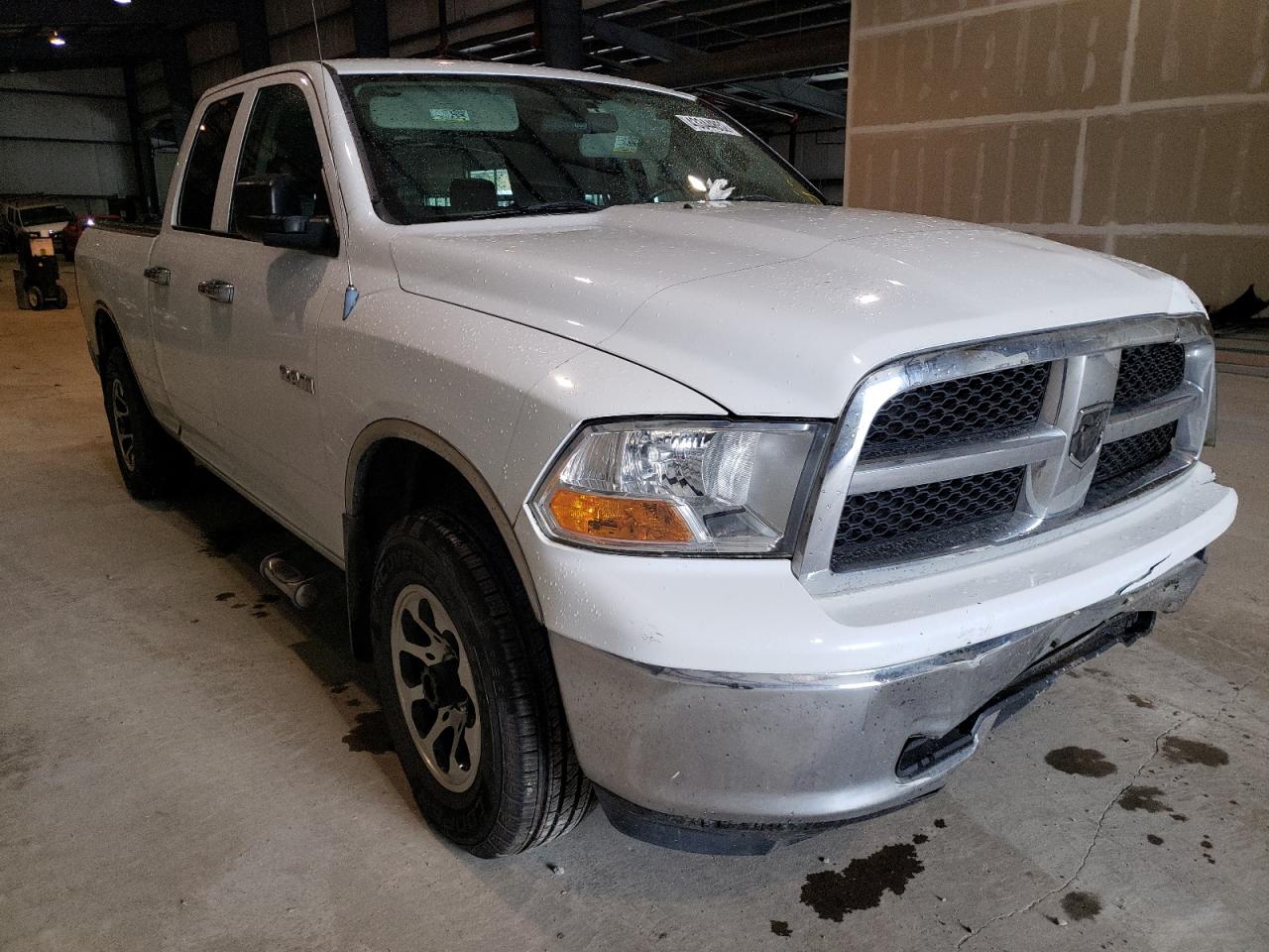 DODGE RAM 1500 2010 with VIN 1D7RV1GP4AS211294 - Photo from auction
