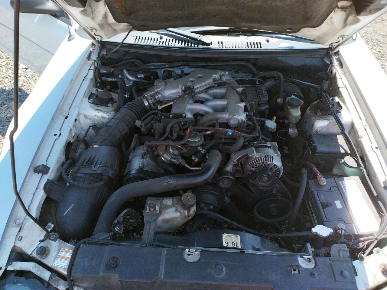 Фото 7 с аукциона – 2000 FORD MUSTANG с VIN 1FAFP4449YF282129