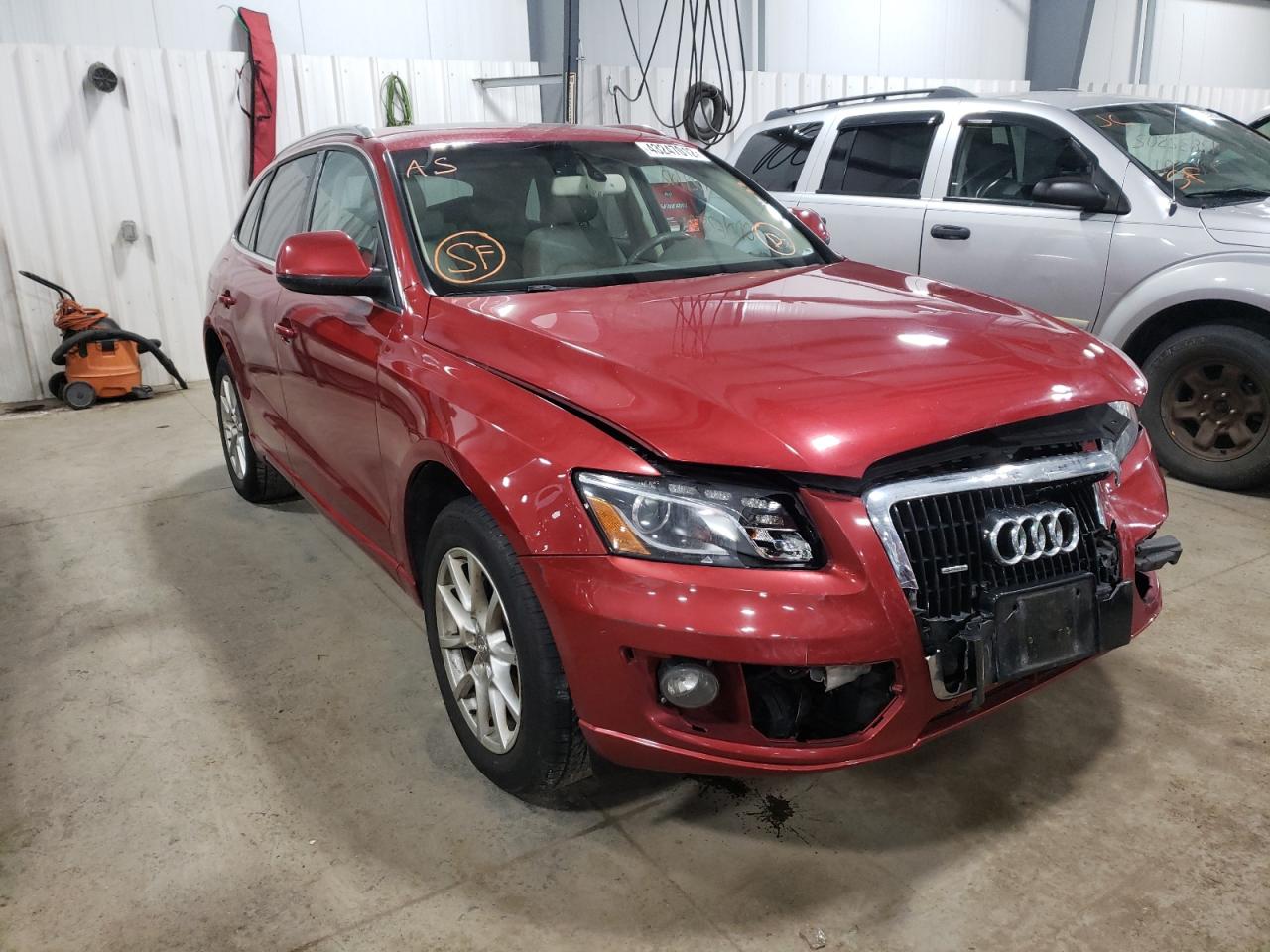 AUDI Q5 PREMIUM 2010 with VIN WA1LKAFP3AA019181 - Photo from auction