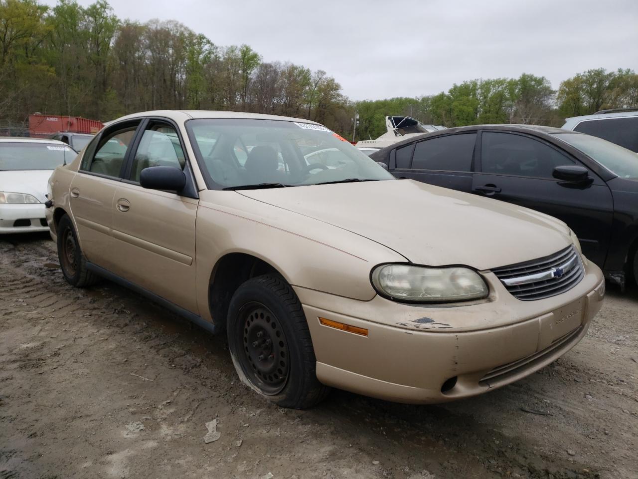 CHEVROLET MALIBU 2002 with VIN 1G1ND52J02M693590 - Photo from auction