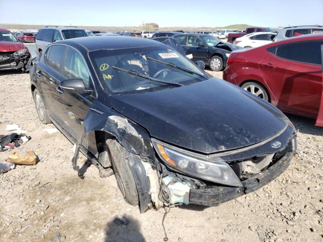 KIA OPTIMA LX 2015 with VIN KNAGM4A73F5630805 - Photo from auction