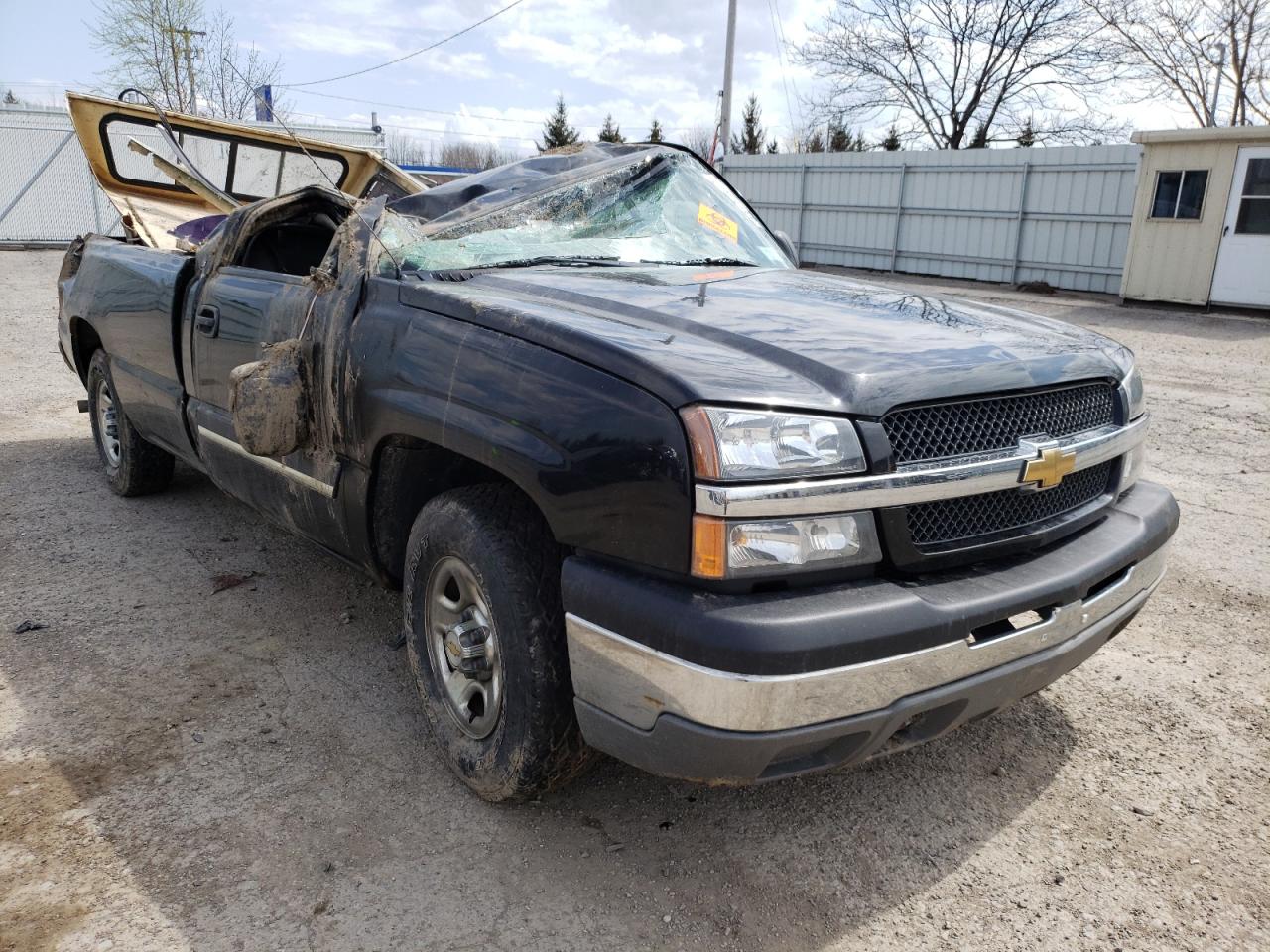 CHEVROLET SILVERADO 2003 with VIN 1GCEC14T23Z304101 - Photo from auction