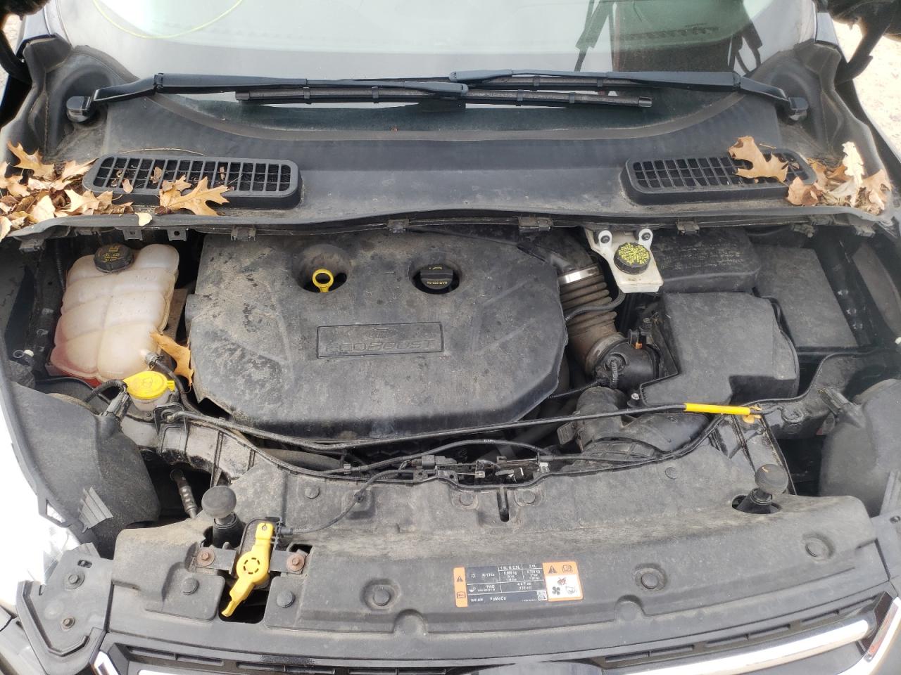 Photo 7 from auction – 2015 FORD ESCAPE TIT with VIN 1FMCU9J9XFUB86422