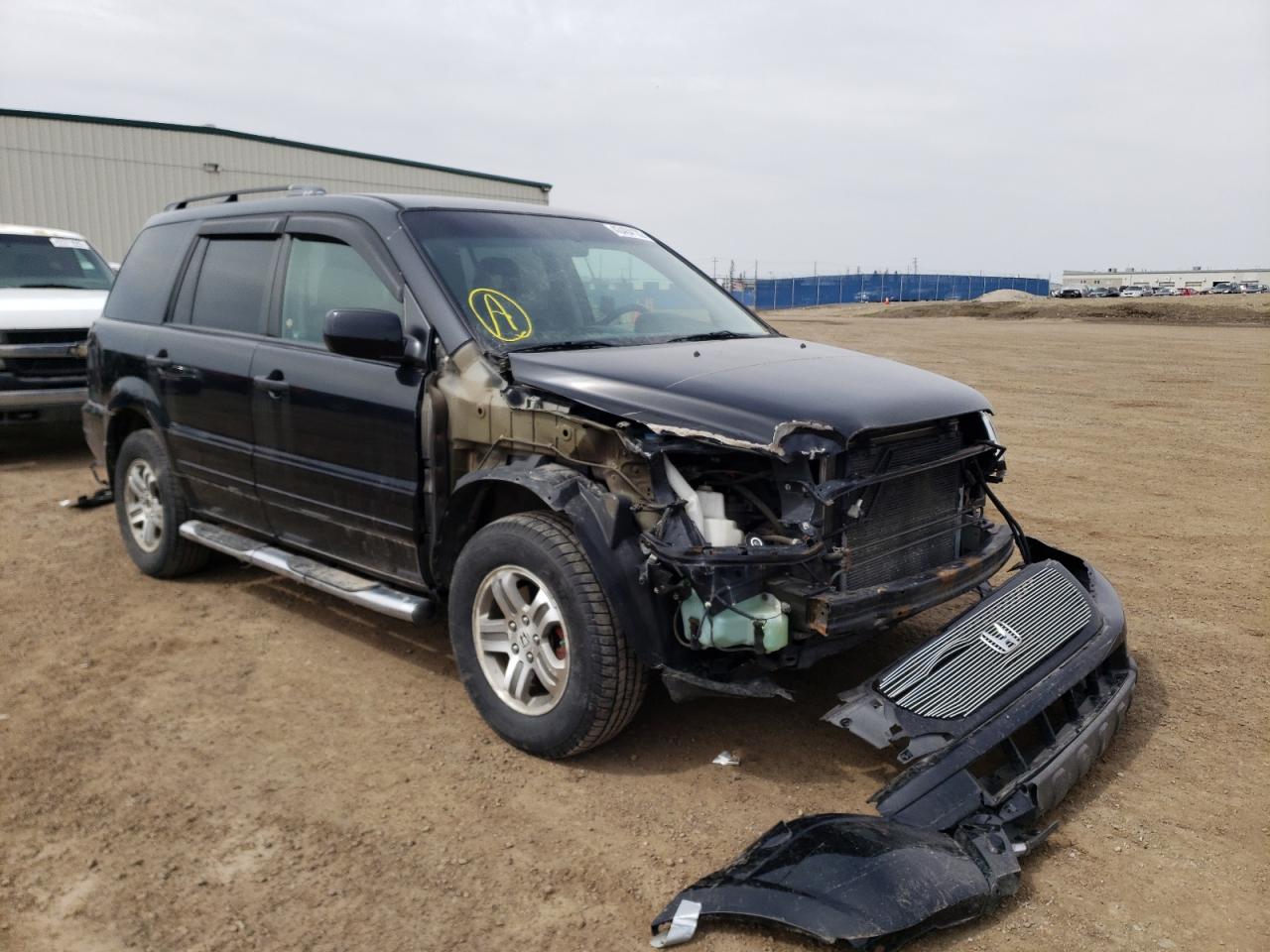 HONDA PILOT EXL 2004 with VIN 2HKYF18594H000997 - Photo from auction