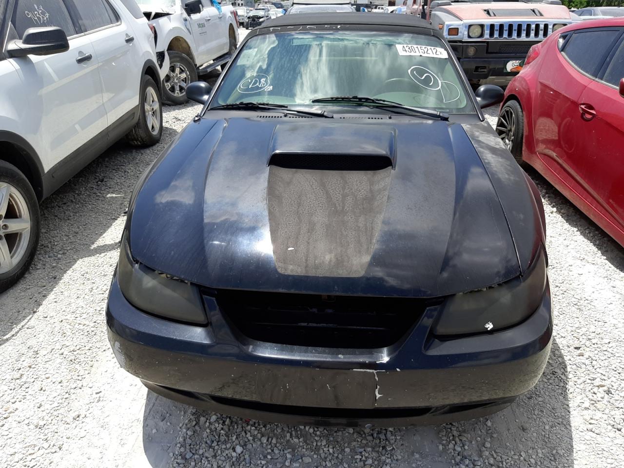 Photo 9 from auction – 2003 FORD MUSTANG GT with VIN 1FAFP45X73F417447