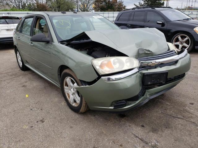 CHEVROLET MALIBU MAX 2005 with VIN 1G1ZU64875F202250 - Photo from auction