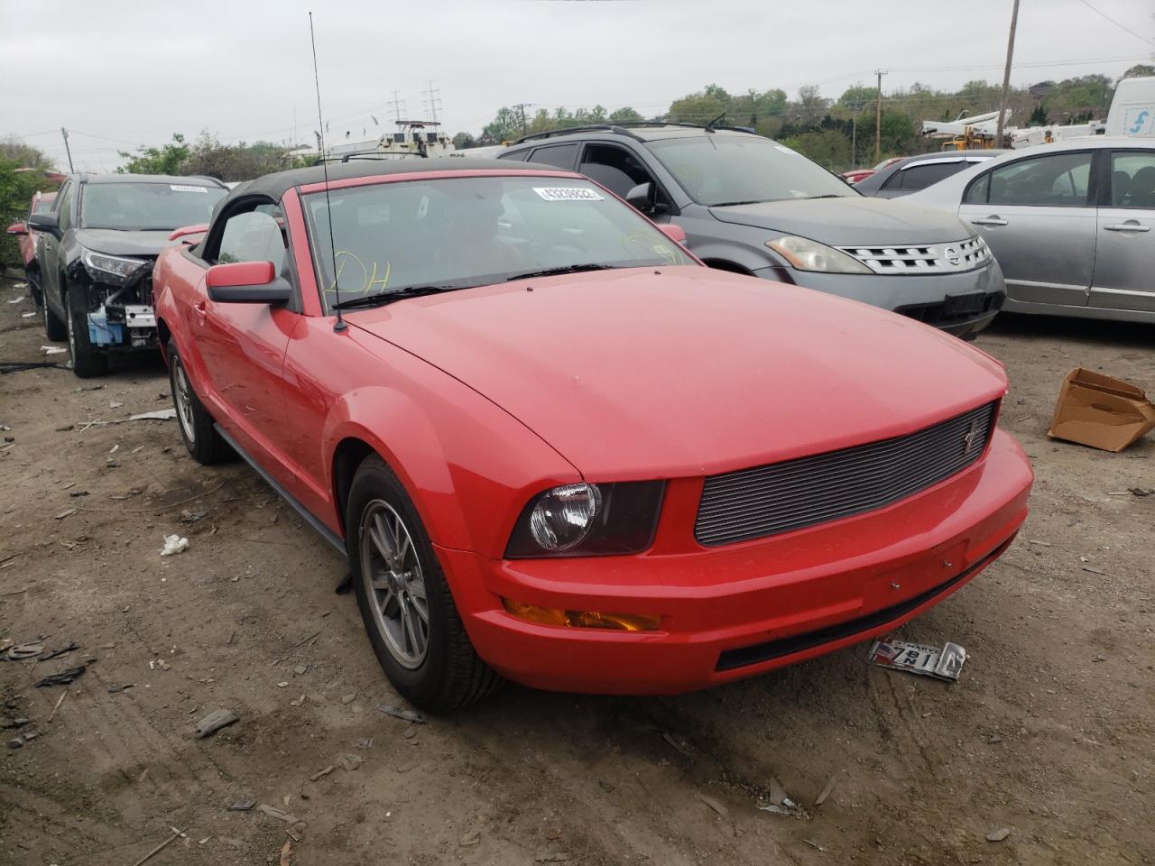 FORD MUSTANG 2005 with VIN 1ZVFT84N355244268 - Photo from auction