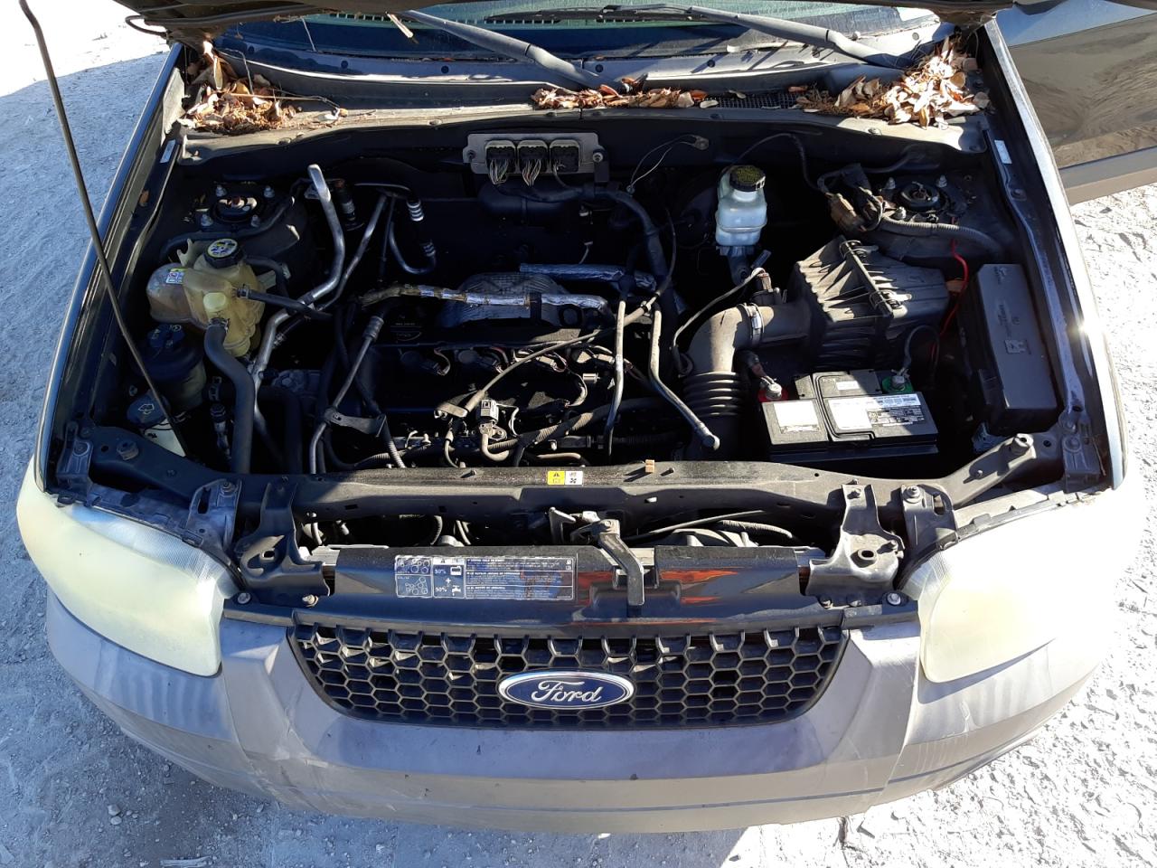 Photo 7 from auction – 2007 FORD ESCAPE XLS with VIN 1FMYU02Z87KA52683