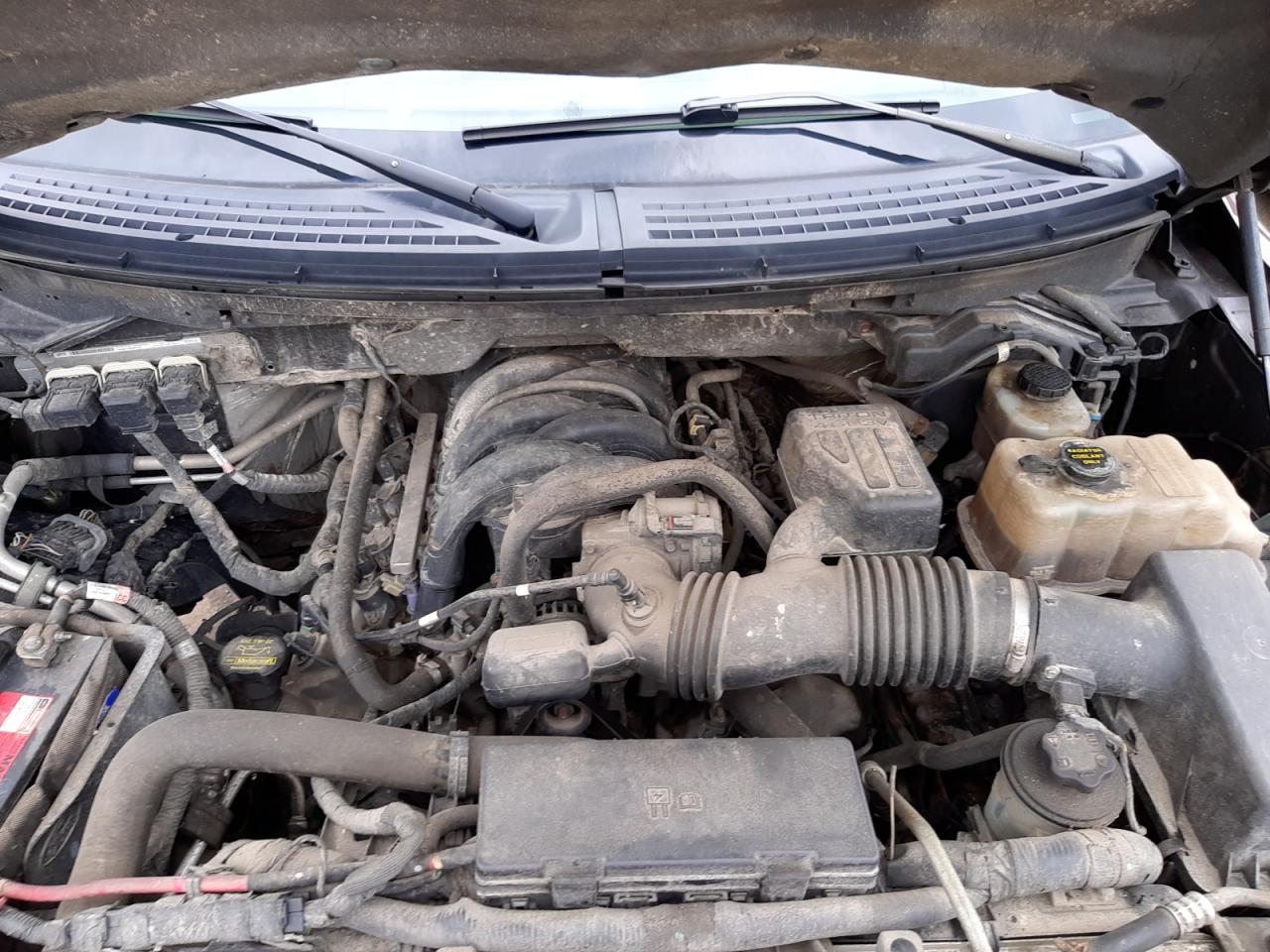 Photo 7 from auction – 2010 FORD F150 SUPER with VIN 1FTEX1E85AFA86247
