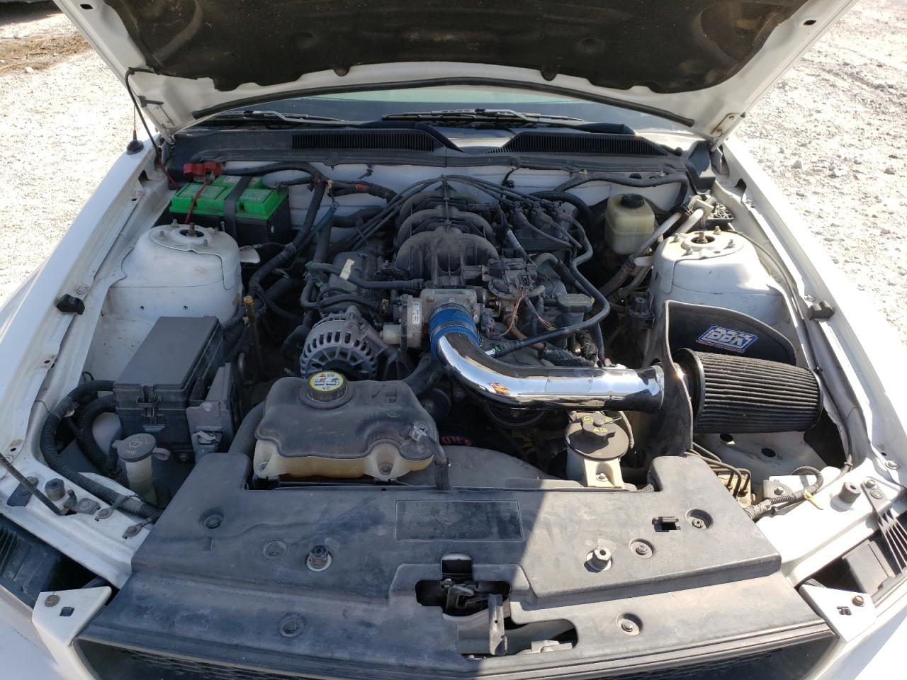 Photo 7 from auction – 2007 FORD MUSTANG with VIN 1ZVFT80N975361202