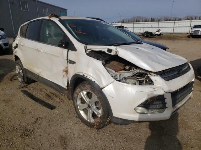 FORD ESCAPE SE 2016 with VIN 1FMCU9G94GUA47279 - Photo from auction