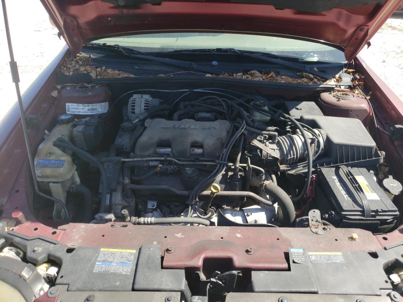 Photo 7 from auction – 2002 CHEVROLET MALIBU LS with VIN 1G1NE52J92M728009
