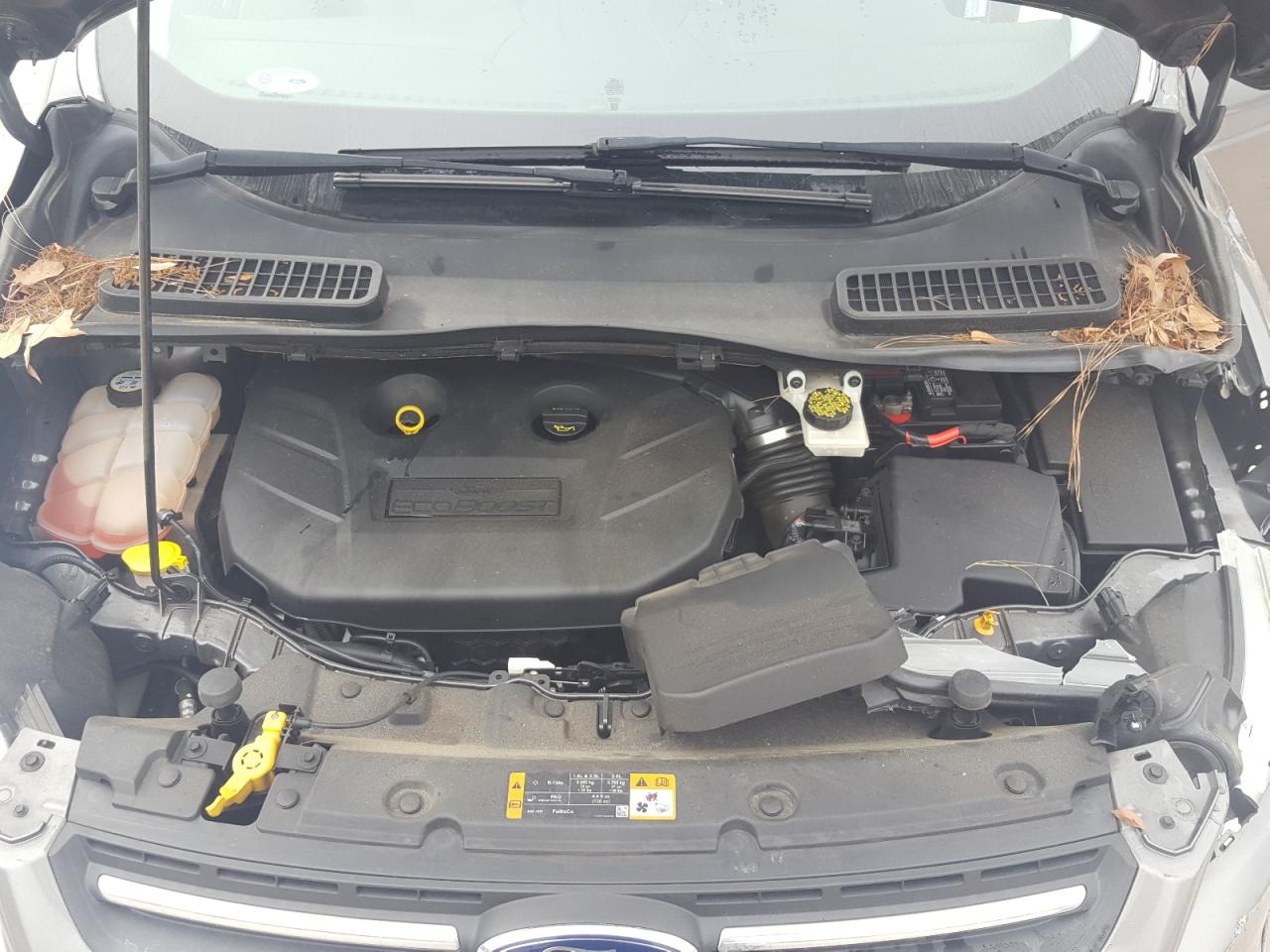 Photo 7 from auction – 2013 FORD ESCAPE SE with VIN 1FMCU0G99DUC26828