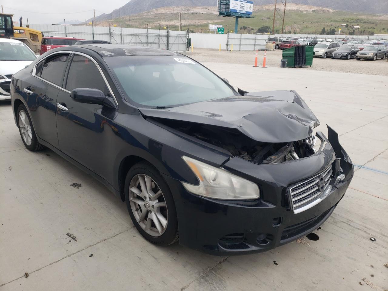 NISSAN MAXIMA S 2009 with VIN 1N4AA51E49C835903 - Photo from auction