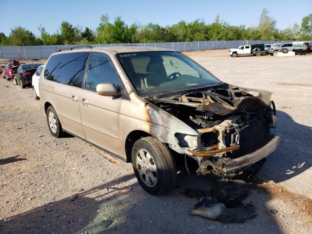 HONDA ODYSSEY EX 2002 with VIN 2HKRL189X2H544292 - Photo from auction
