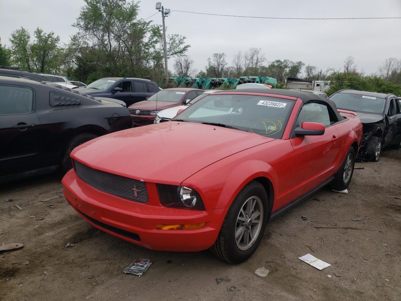 Photo 2 from auction – 2005 FORD MUSTANG with VIN 1ZVFT84N355244268